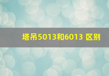 塔吊5013和6013 区别